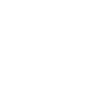 Our Services